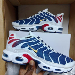 Nike TN Blue-White
