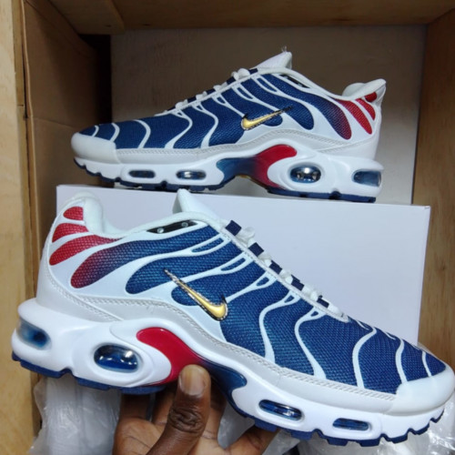 Nike TN Blue-White
